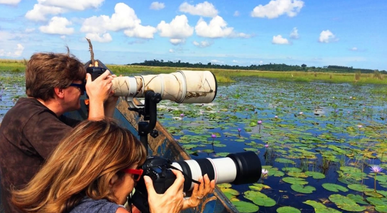 The Best Time to go to Mabamba Swamp is during the dry season, when water levels are low and calm with waning winds. This makes it easier to glide through
