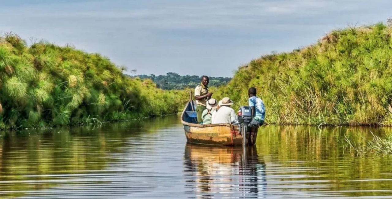 Mabamba Wetland Activities: A stunning tourist destination on the outskirts of Lake Victoria, Mabamba Wetland is renowned for its distinctive