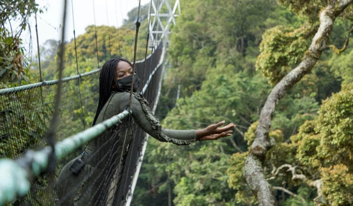 Things to do in Nyungwe Forest: Travellers planning to visit Nyungwe Forest National Park for unforgettable adventure safaris and activities