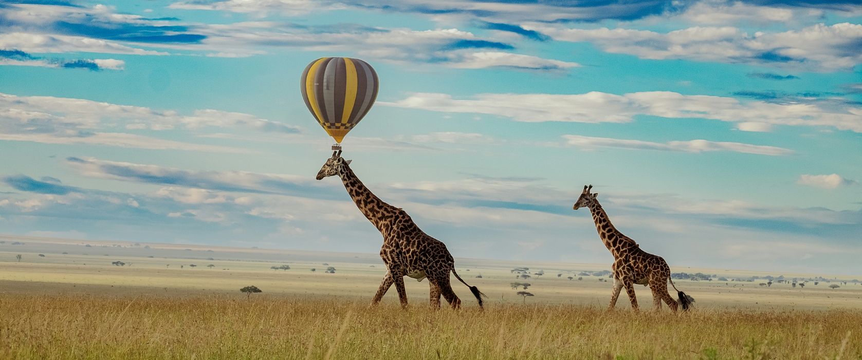 10 Days Wildlife Adventure Kenya and Tanzania Safari