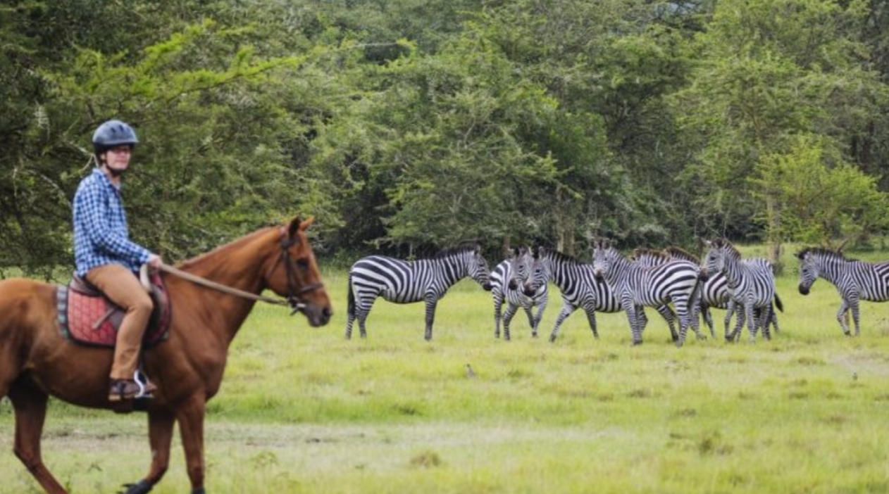 A Guide to Lake Mburo National Park: One of Uganda’s smallest savannah parks with charming diversity in terms of wildlife, culture, and natural beauty,