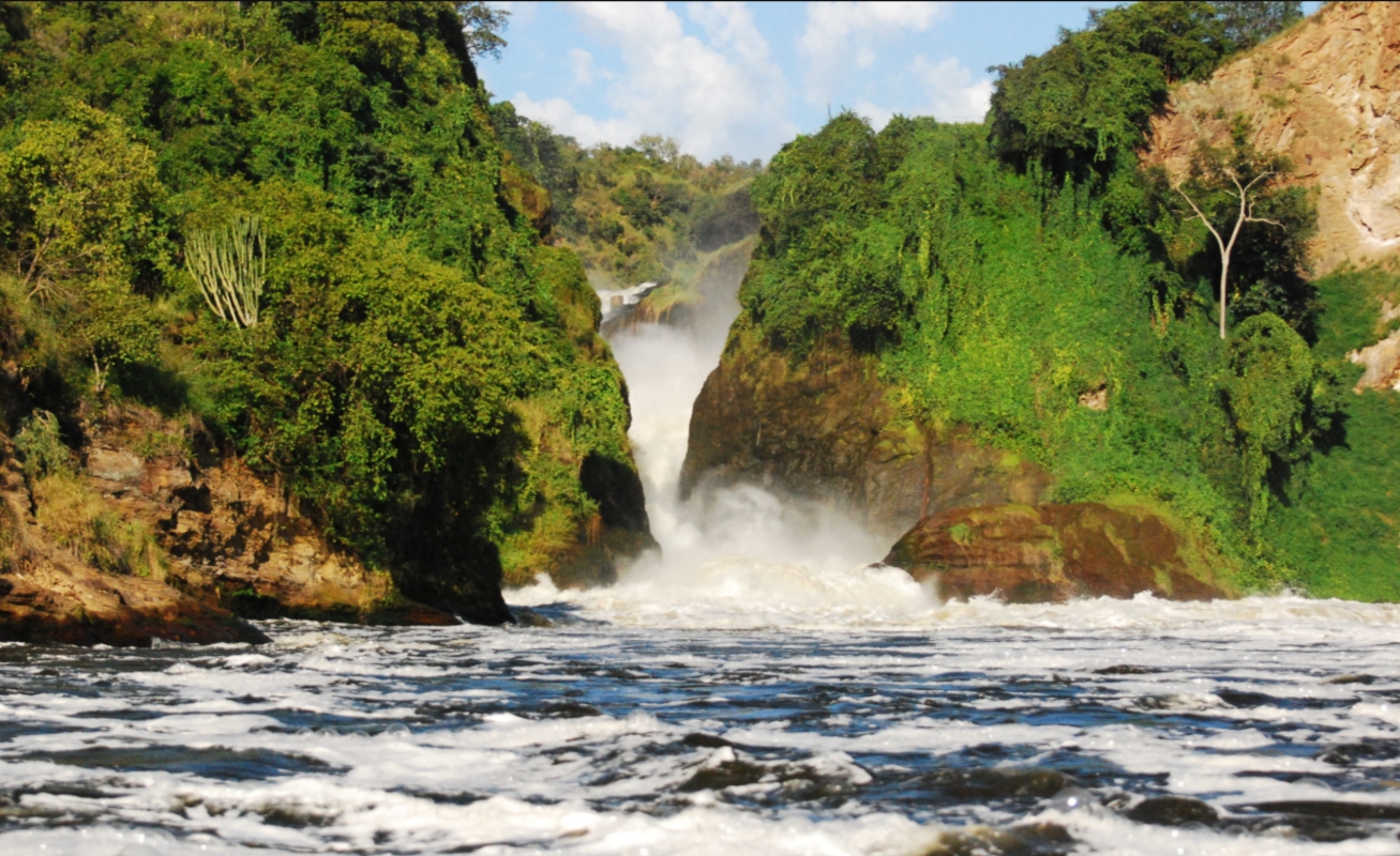 A Guide to Murchison Falls National Park: It takes pride in being Uganda's most visited tourist destination in comparison to other protected