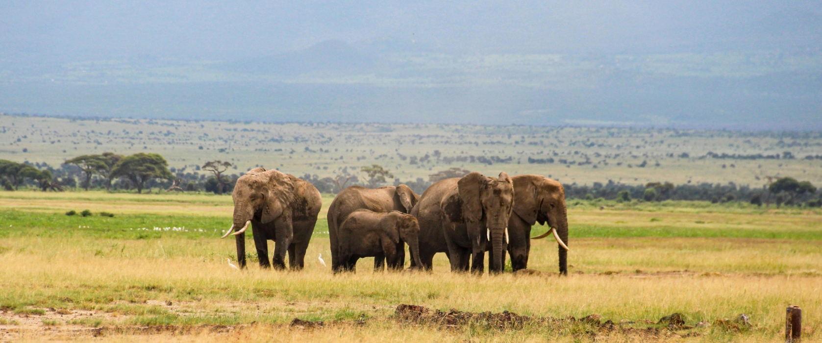 10 Days Best Adventure wildlife and culture Kenya Safari