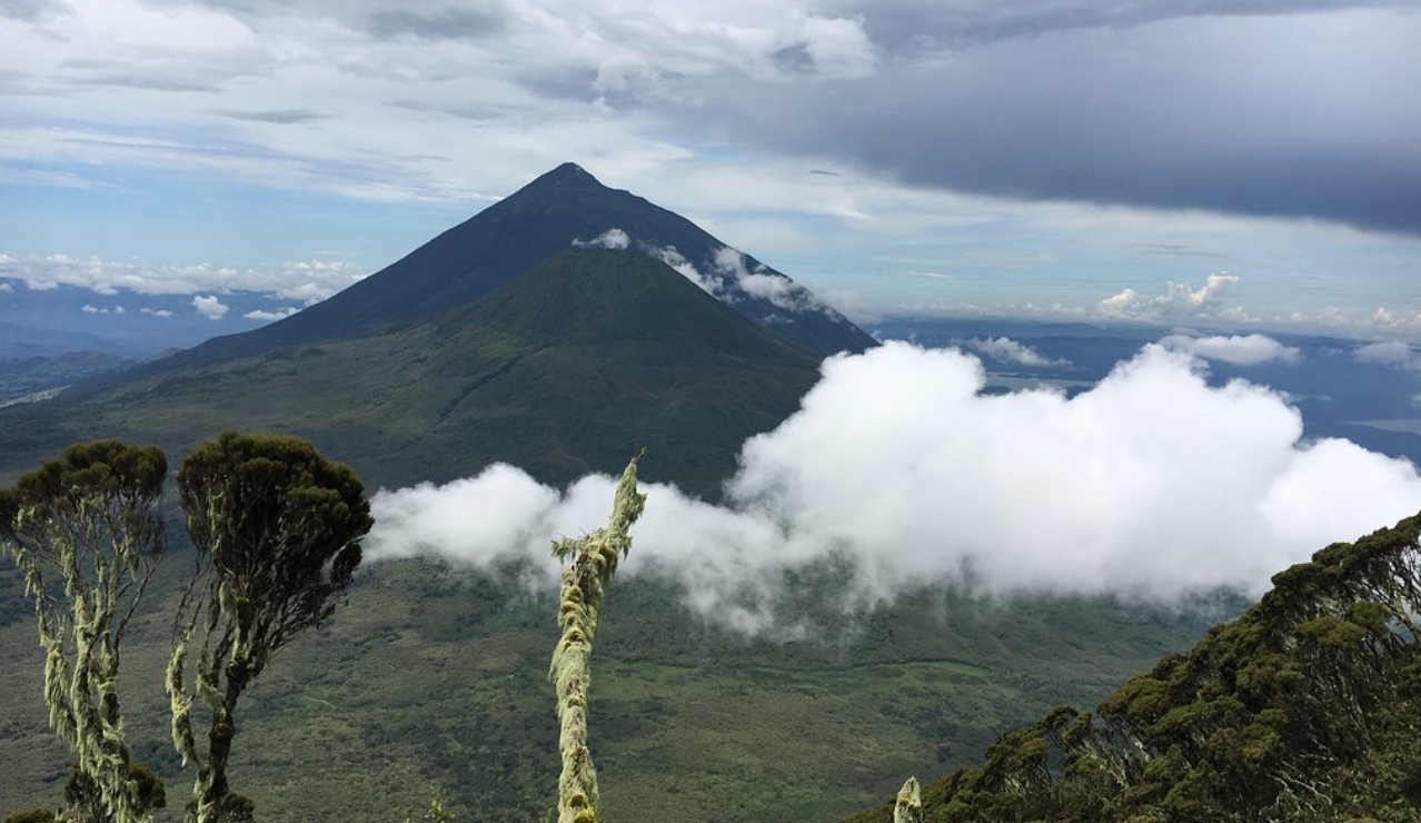 Mountain Climbing in Mgahinga National Park: Located in the Virunga Volcanoes, it is a popular activity that provides breathtaking views